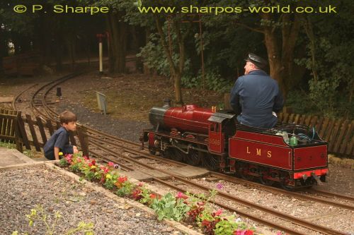 Click to view full size image